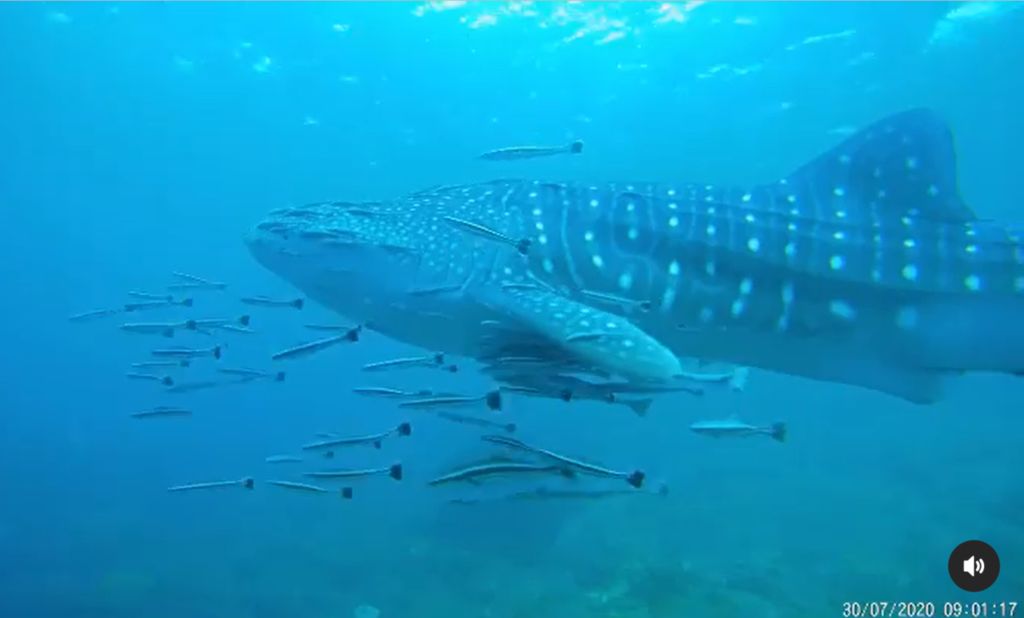 fe038a7d-2f5b-45f7-ae64-5f51552b7751