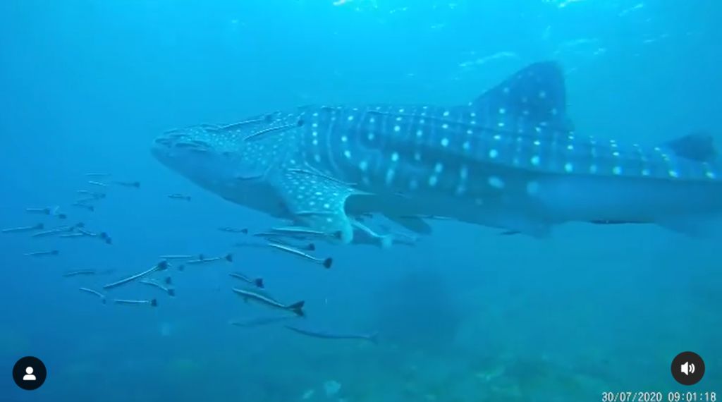 fe038a7d-2f5b-45f7-ae64-5f51552b7751