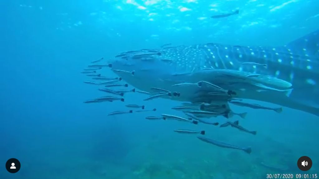 fe038a7d-2f5b-45f7-ae64-5f51552b7751