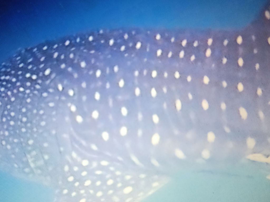 8b303ff4-5306-4d9a-8075-7aadaa262f7e