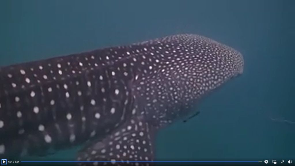 8b303ff4-5306-4d9a-8075-7aadaa262f7e