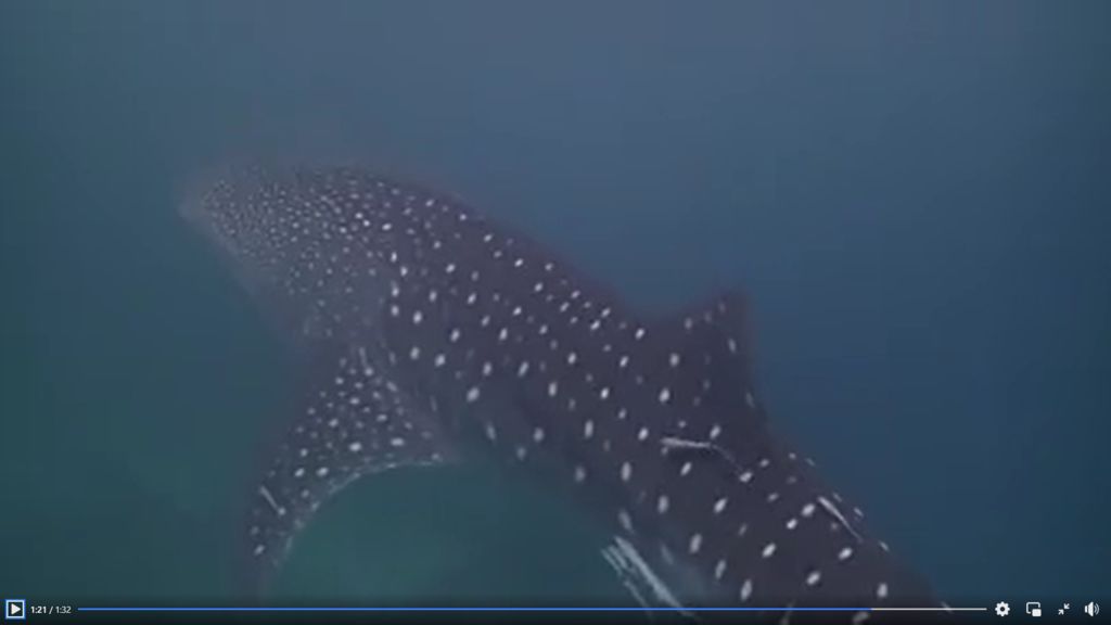 8b303ff4-5306-4d9a-8075-7aadaa262f7e