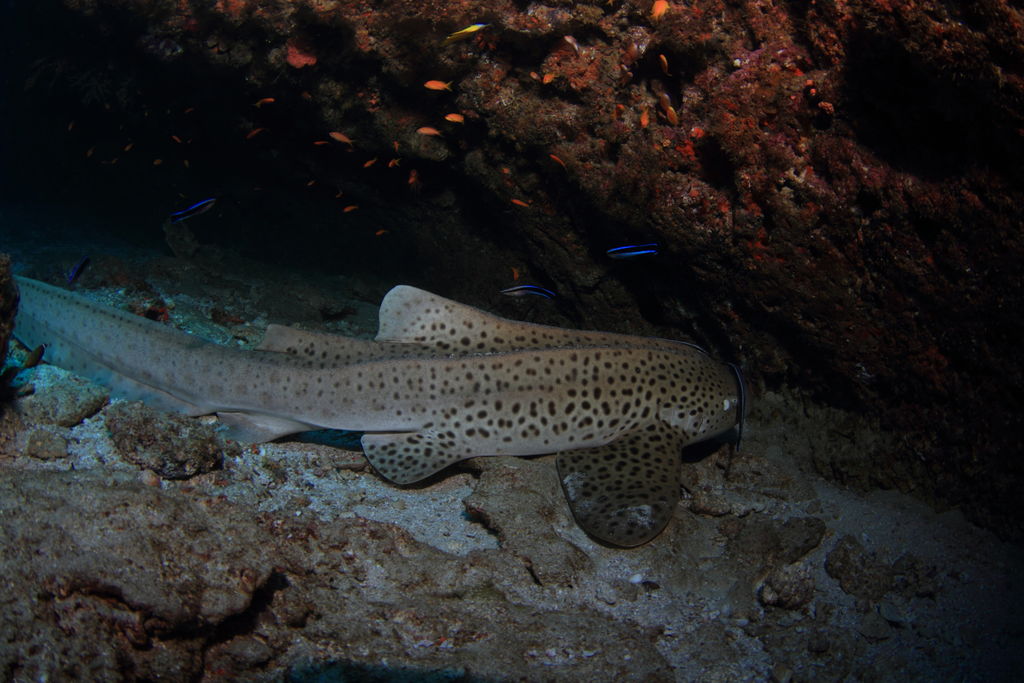 6fe6e57f-6995-4a49-a114-7e41f5b5093c