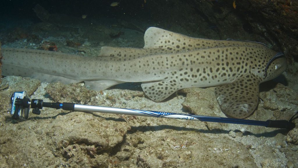 6fe6e57f-6995-4a49-a114-7e41f5b5093c