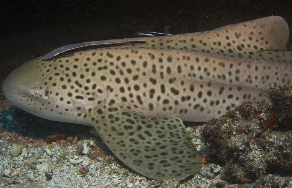 6fe6e57f-6995-4a49-a114-7e41f5b5093c