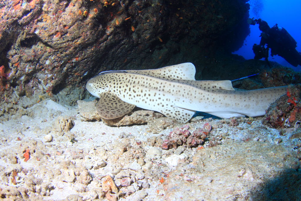 6fe6e57f-6995-4a49-a114-7e41f5b5093c