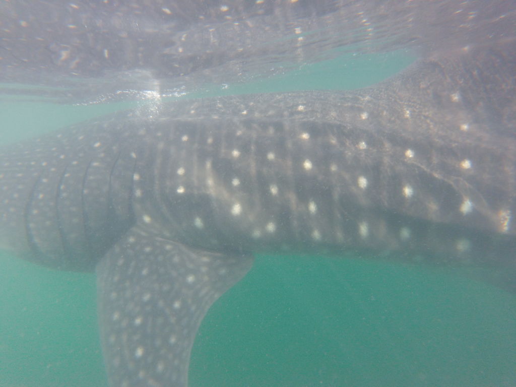 aa1873ca-3bdc-496d-bff1-f27540197d3b