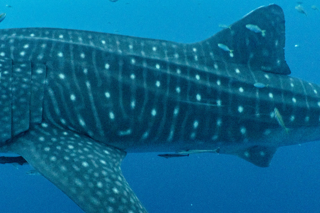 0909865f-bdc0-42ec-83b1-5f112c393c48