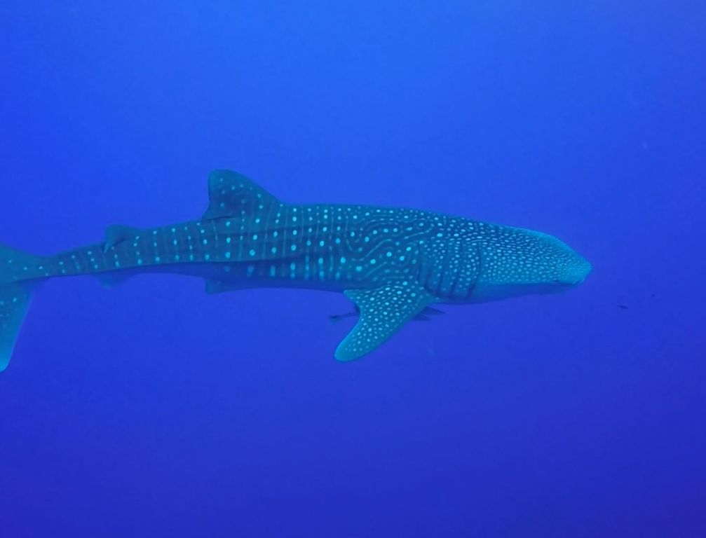 958911bb-87df-4152-8fe6-07bdcf5f0784