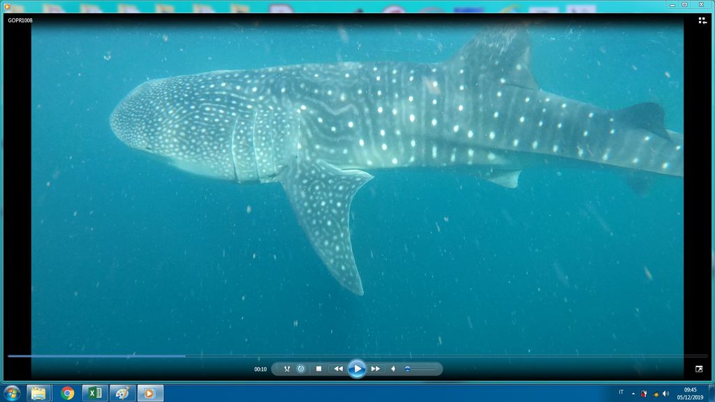 78ff34c2-d2dd-4cd6-a35f-db440d7c23dd