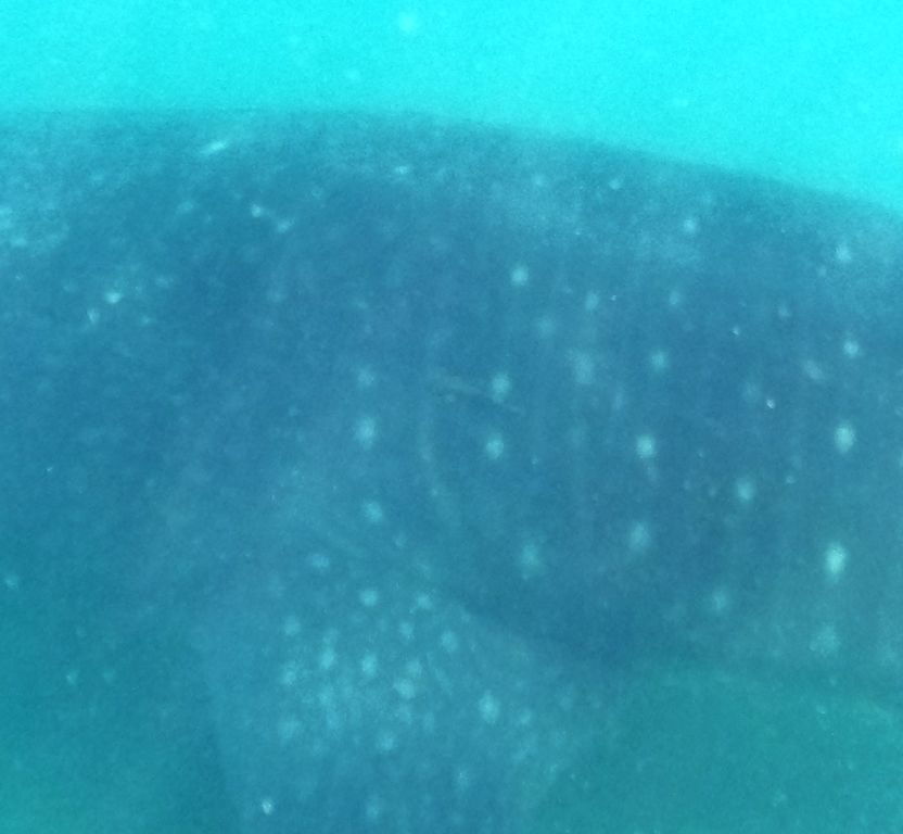 da10c933-4cd7-4b89-aae1-61eb3911aaf2