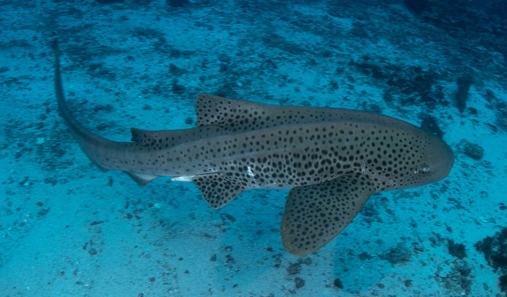 b97aa8b9-0927-4b23-b16a-2d19d8a3072b