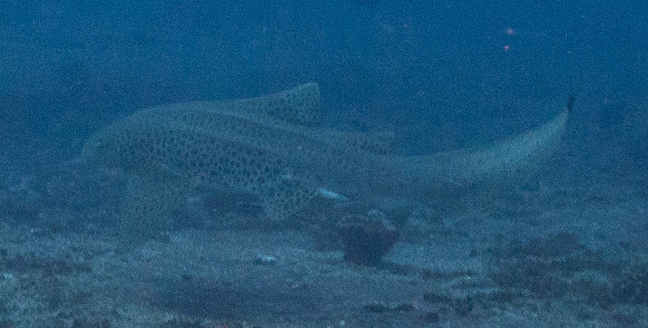 b97aa8b9-0927-4b23-b16a-2d19d8a3072b