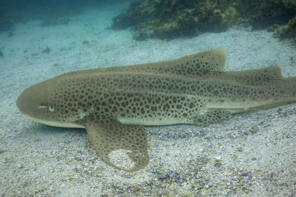 6ef545cc-4576-4782-ae25-def0f5323c5c