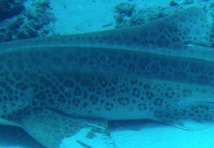 6e88c695-d932-44eb-8e0e-eebf2be447fb