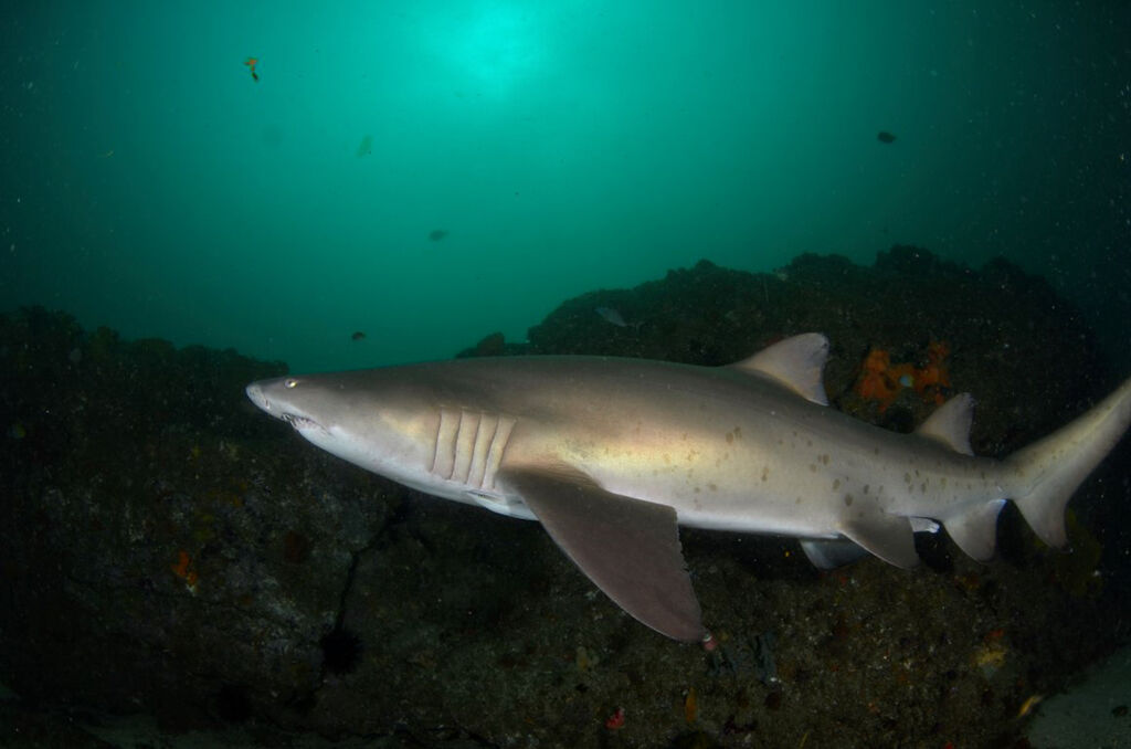 6d42a53e-dd0c-4bb0-80e8-0e9165f9ad7b