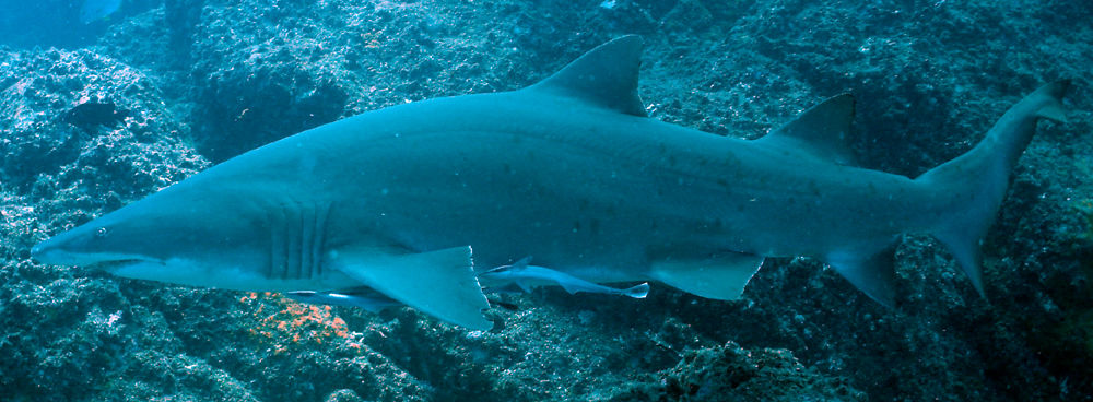 ebb52bda-5f21-4670-840d-9534e7837fae