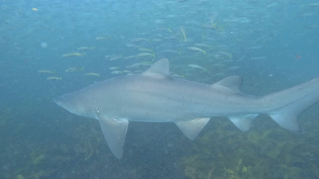 cd09814f-7dfa-4fc5-a864-4855310ff8a9