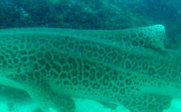 0e18b53e-31d3-406b-8ada-6e9b769be32a