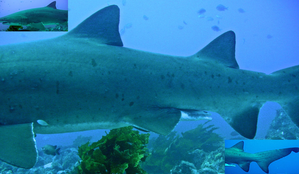 b2448c79-3abe-410d-b16e-712d7d3bd8b0