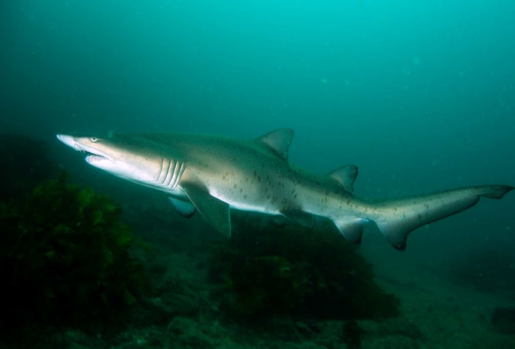 be71a761-76b5-4d65-a0bf-7e46b40e505d