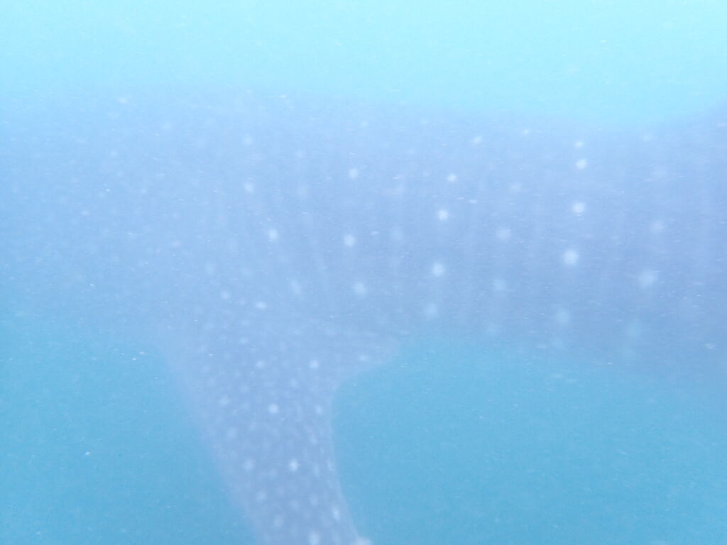 8e9f27d6-8c93-4cae-97c6-a85c15452b73