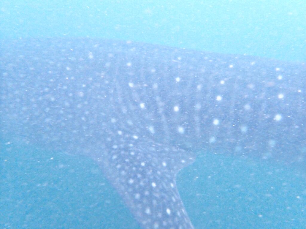 8e9f27d6-8c93-4cae-97c6-a85c15452b73