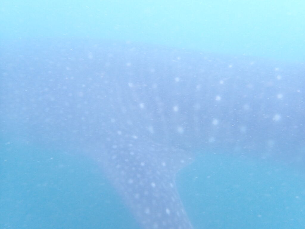 8e9f27d6-8c93-4cae-97c6-a85c15452b73