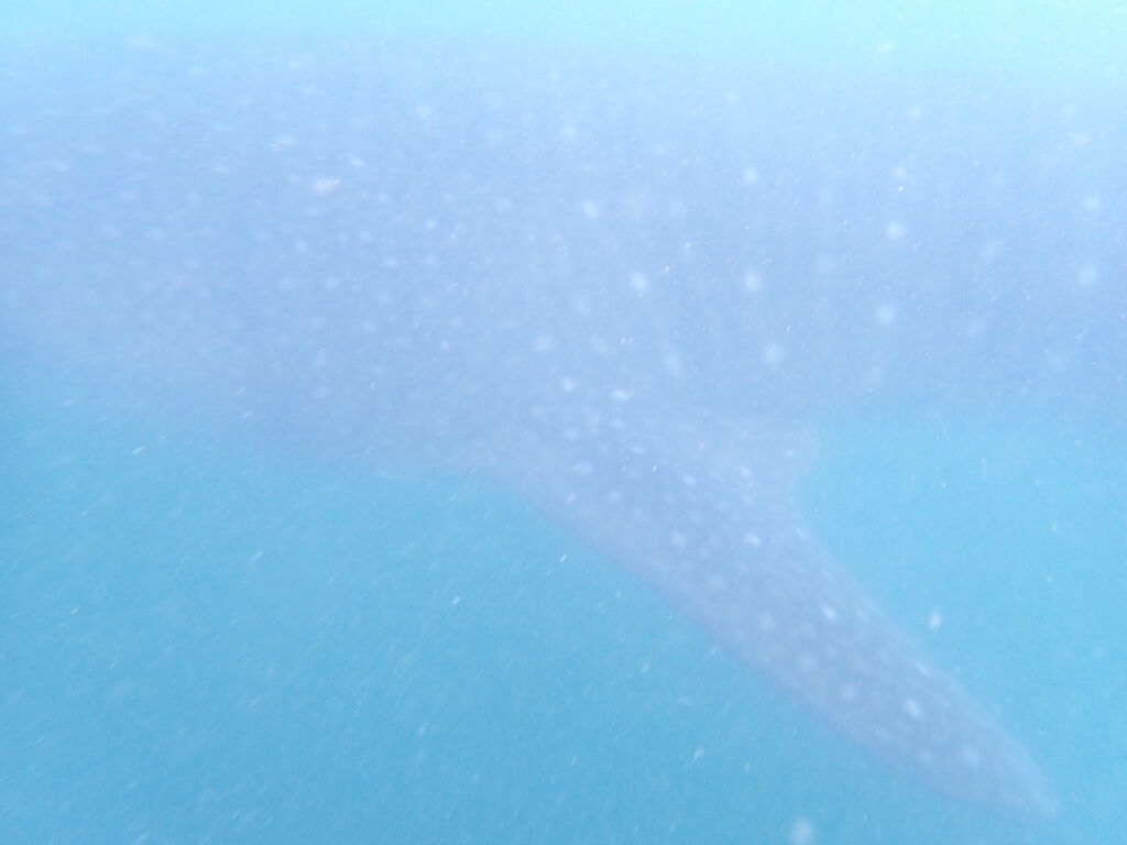 8e9f27d6-8c93-4cae-97c6-a85c15452b73