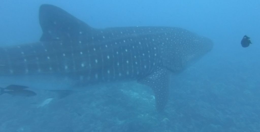 6d373ac0-1b01-4d30-90ae-7d2e14010934