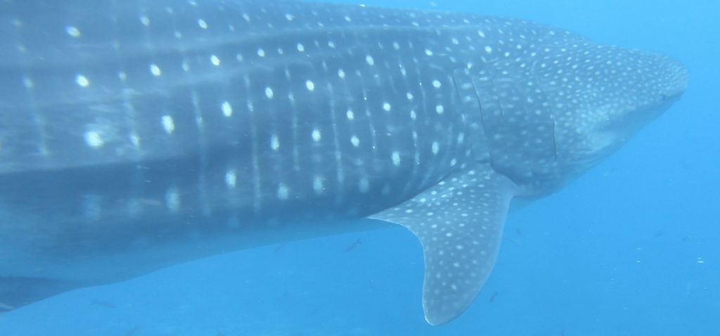 6d373ac0-1b01-4d30-90ae-7d2e14010934