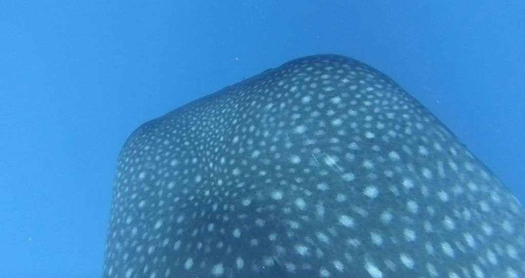 6d373ac0-1b01-4d30-90ae-7d2e14010934