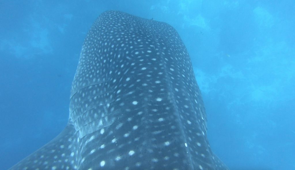 6d373ac0-1b01-4d30-90ae-7d2e14010934