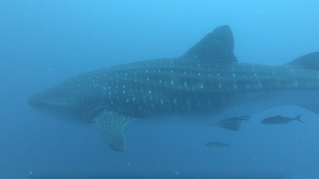 6d373ac0-1b01-4d30-90ae-7d2e14010934