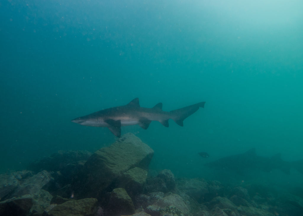 9d414684-9560-40f5-af1b-c9feeff865ae