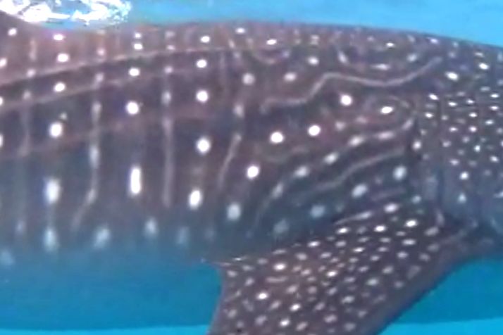 db7babf2-b17a-46bc-9496-0d0627fb7e96