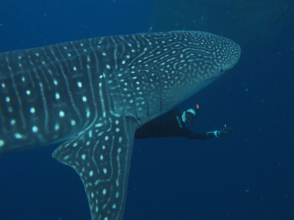 26e16c27-3efb-43c7-9cc9-4527497e59fe