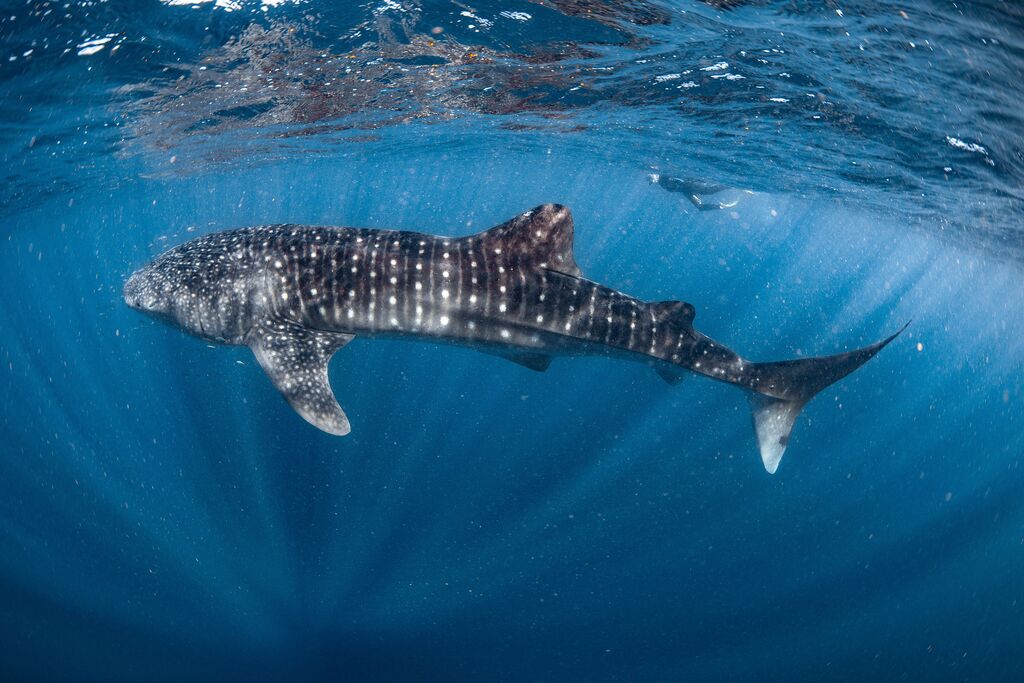 0b32b038-3174-4153-9937-14767f62cc79