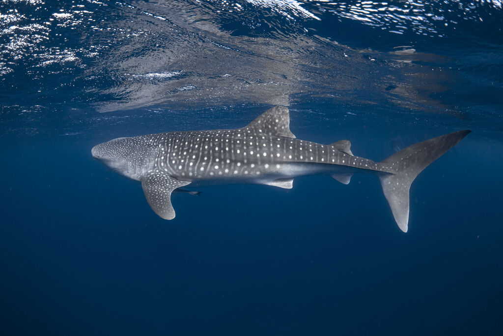 3b12838e-f314-4675-9f35-c61dedf4abe4