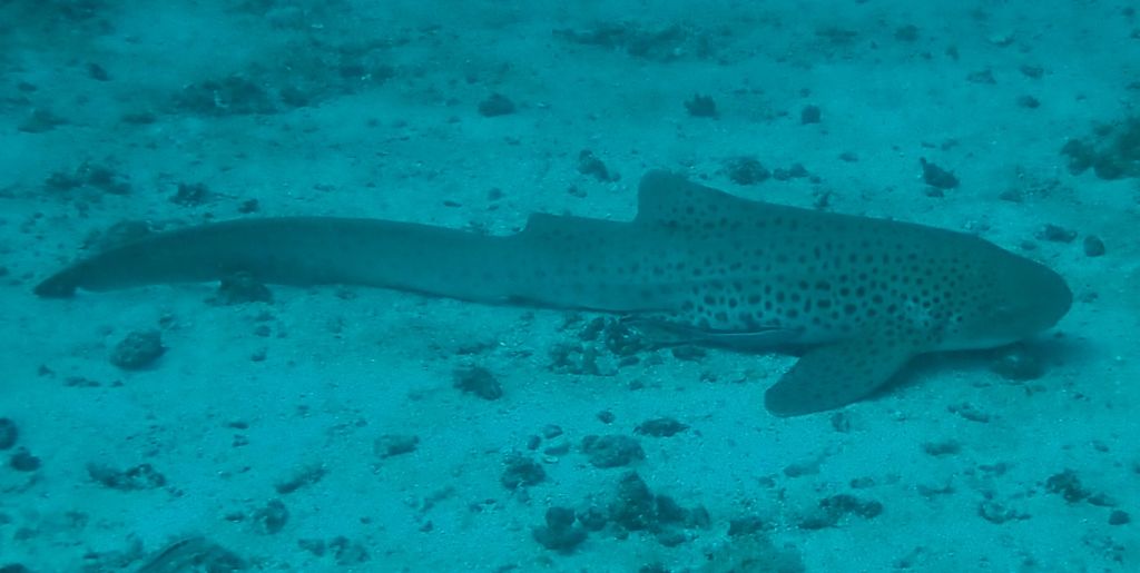 9a7f1c23-76ae-461a-a5fc-0e4d64c42845