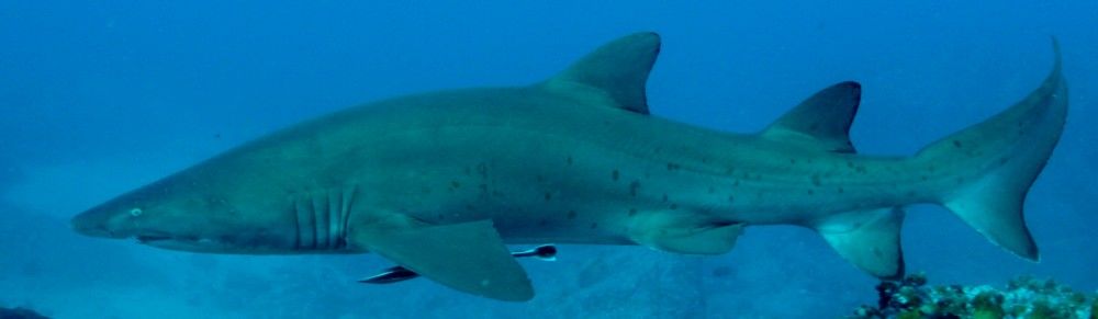 6b0050bf-a80e-4665-8006-603cf93db6f1