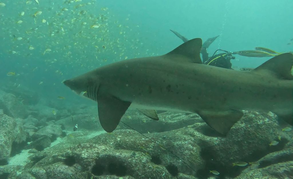 15d78db2-5ef9-4c3e-9023-1b981637b930