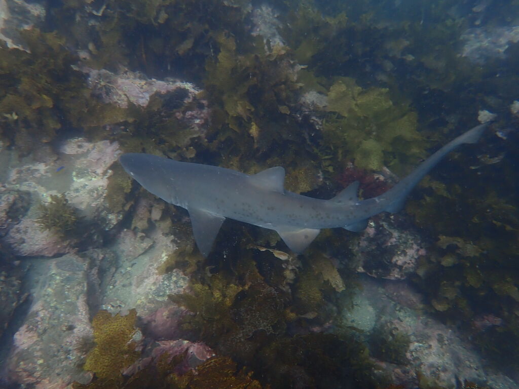 8cbfa3e7-9fa3-4399-8835-3cb3daa20afa