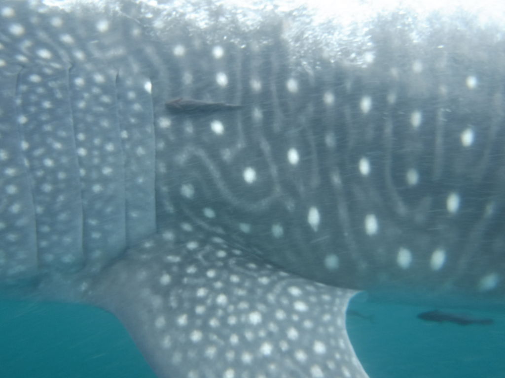 aa47a43a-879a-4ea9-93d4-1e5d3a6d0112