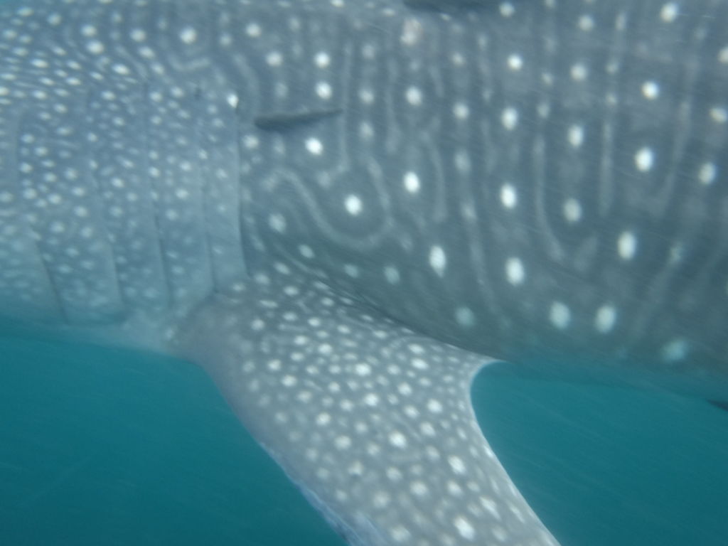 aa47a43a-879a-4ea9-93d4-1e5d3a6d0112