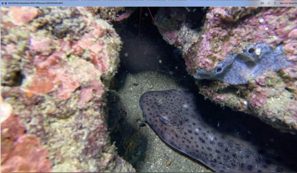 8c54c7fb-a162-4a57-9763-b70330376d9b