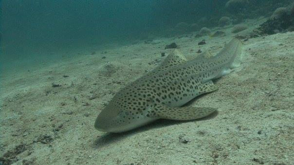 c2c16e35-beac-49fb-aba9-4ad67a4fe707