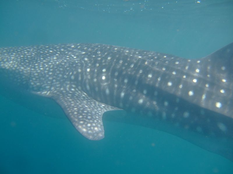 1d978959-22be-459d-8971-68bfe9ed4d9a