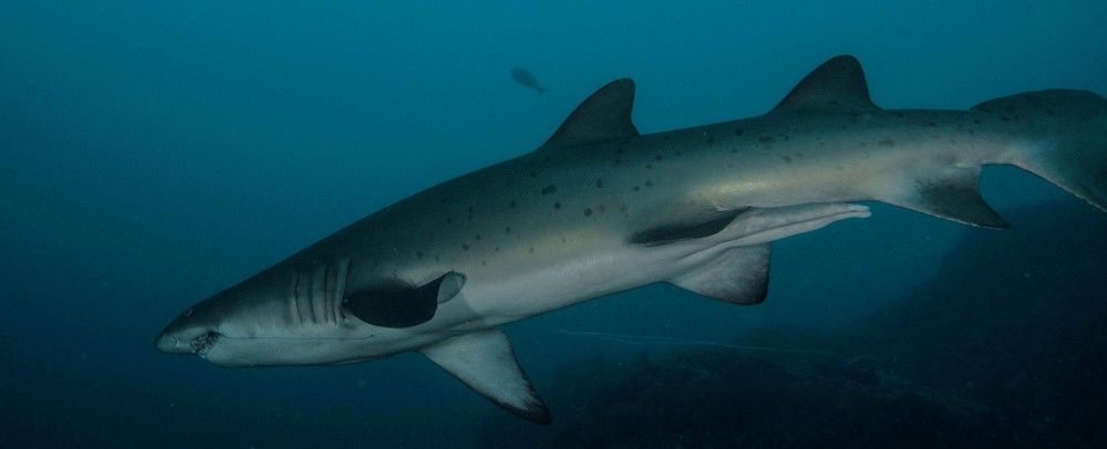 41c8a6a2-2cbe-4392-9595-2153832e8209