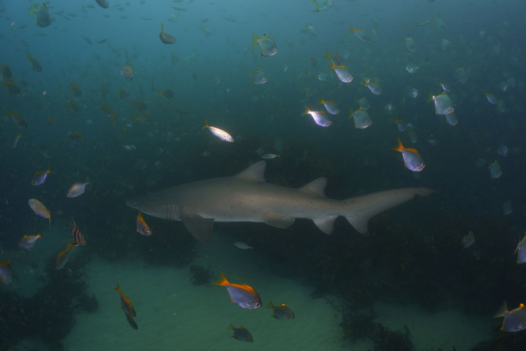 c7c458ed-c474-4c05-b29d-356c51007bb8